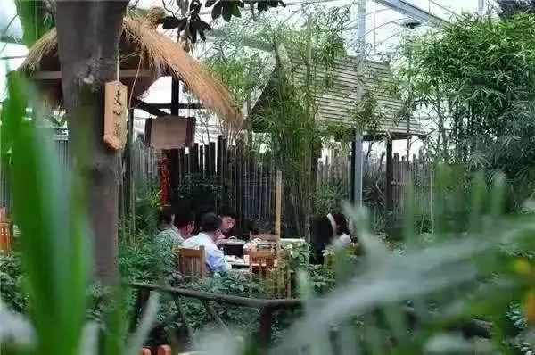 长沙河西农家乐和休闲农庄,长沙最佳生态农庄