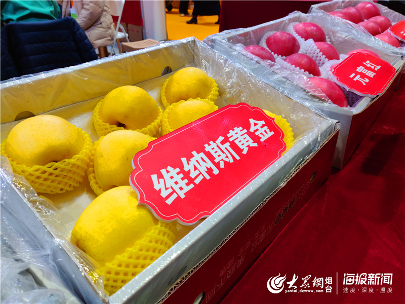 果蔬会成大课堂！莱州租7辆大巴车拉200余名农民组团取经