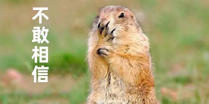 英语学习买东西英语口语,英语学习购物用语