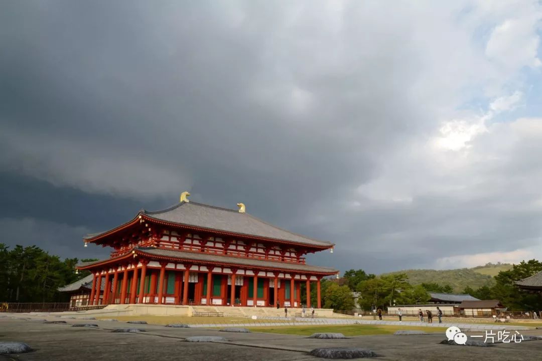 奈良的小鹿,奈良的小鹿最近新消息