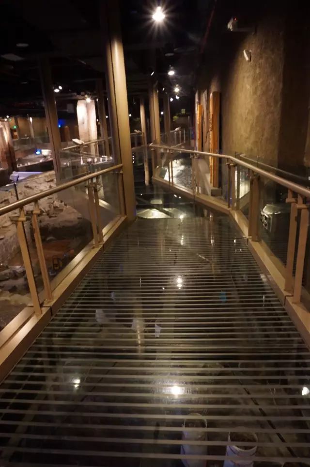 申城一日游必去景点,有哪些免费的景区推荐一下