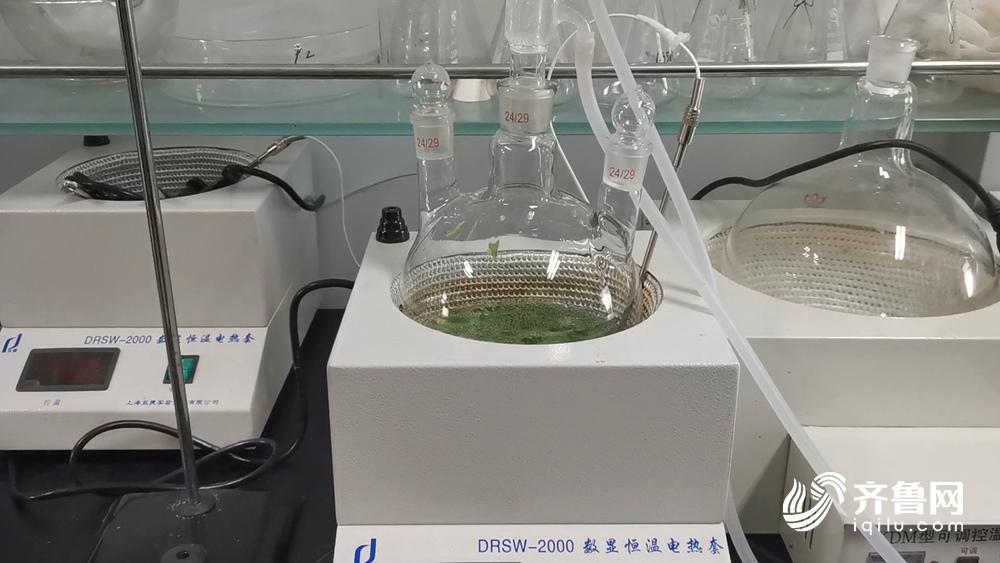 娴庡崡椴嶈姽闈㈣啘,椴嶈姽闈㈣啘