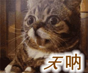 耶鲁mit学霸,被斯坦福录取的高中生