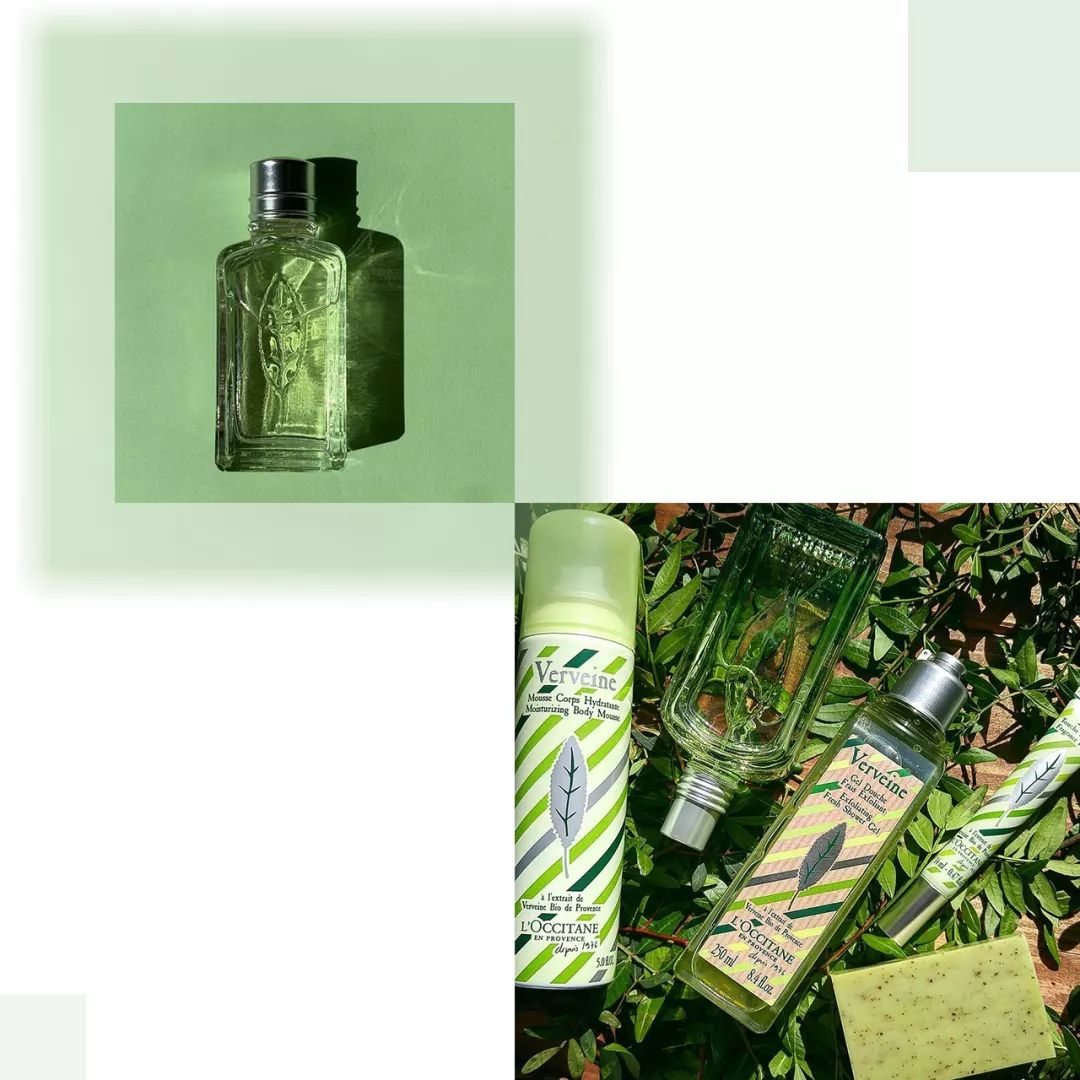 冷冽冰凉的香水有哪些香味,冬天小众香水奶香味