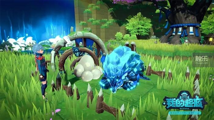 我在起源星球与机器人共度的夜晚