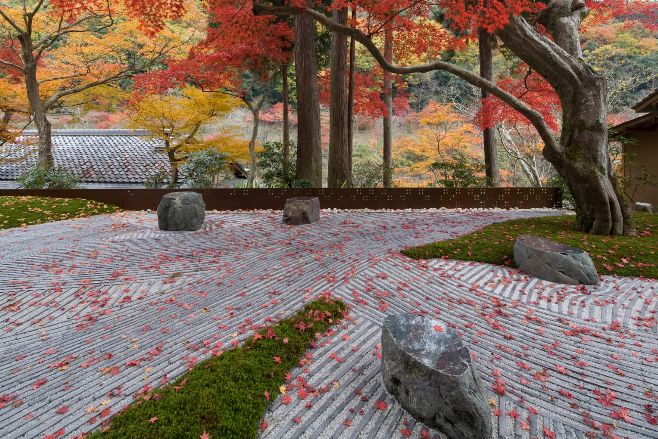 场地启发灵感“地尽其利”丨studioonsite事务所