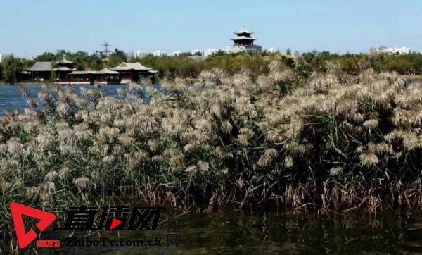 天津最新规划这些地区迎来大发展,天津即将新建的板块