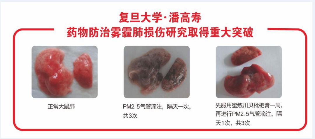 护肺公益行，辨证治咳呵护肺部健康——白云山潘高寿第五届“护肺日”爱心公益活动隆重启动