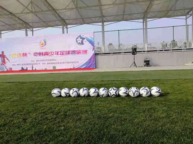 世达足球比赛,国际青少年足球邀请赛