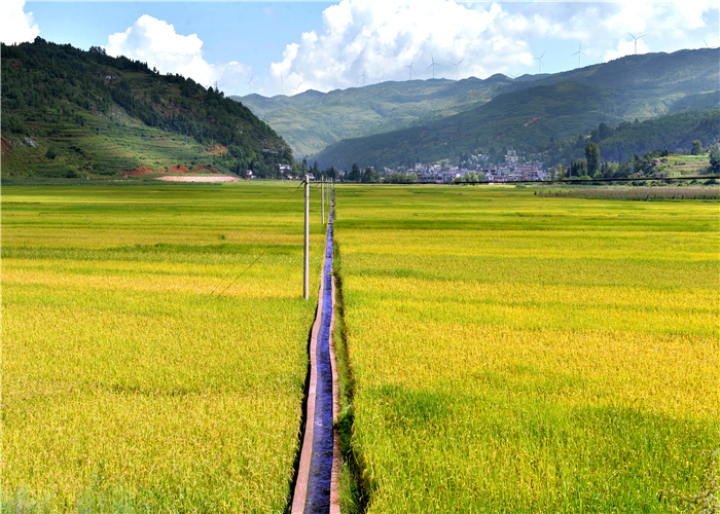 曹振华富源,富源金城路曹振华