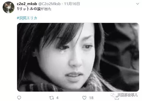 日本吸毒女星泽尻英龙华演的什么,日本女星泽尻英龙华涉毒被捕