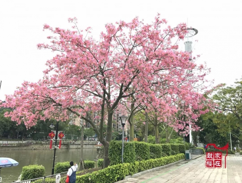 福州高新区最美公园,福州最有韵味的公园