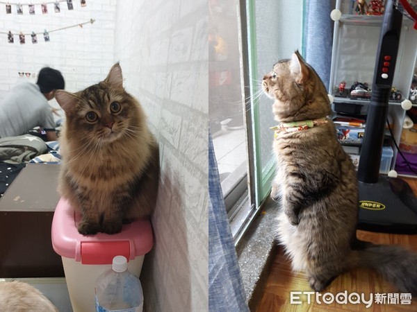 5条海参陷毒窟！握住糖果袋鼠跳