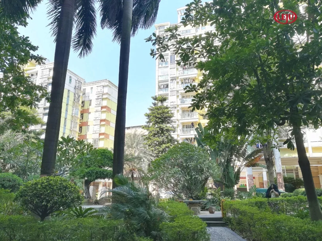 广州市番禺区最便宜的电梯房小区,不买老破小房