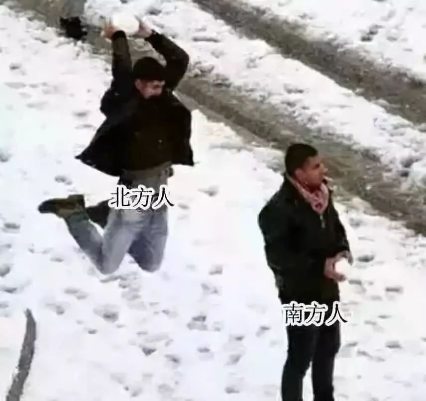 南方人在东北看雪,东北下雪夜里看雪