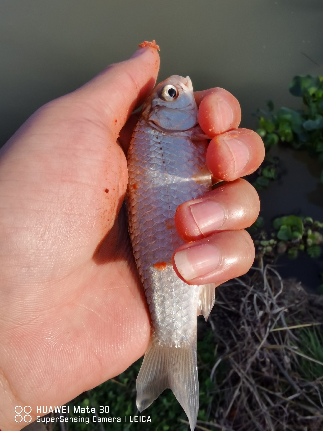 挤时间绑线组备战，没想到龙王爷给我来个透心凉