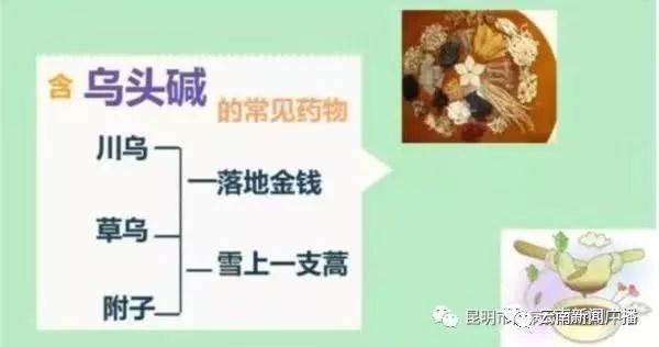 今年已致212人发病，我省发布乌头碱类中药材中毒防控预警公告