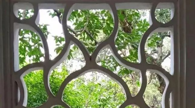 趣读丨旧时苏州人「养宠物」极简史，不只是吸猫遛狗