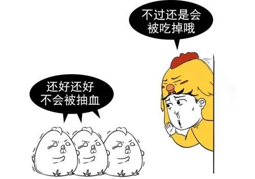 打鸡血真的好么,打鸡血有科学依据么