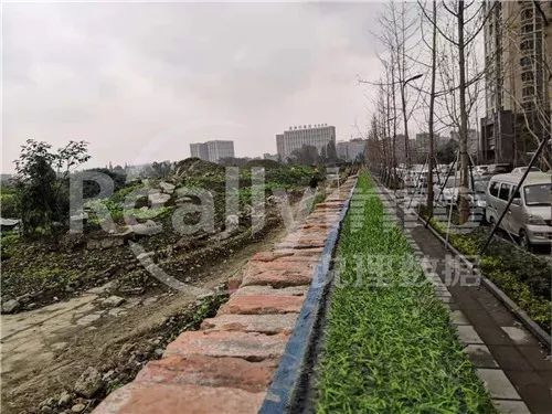 成都土拍最新消息今天时间表,成都土拍集中2021第三次青白江