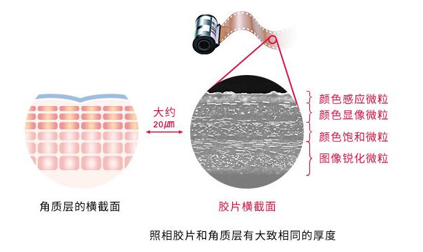 一家濒临倒闭的门店如何起死回生,日本起死回生的传奇企业