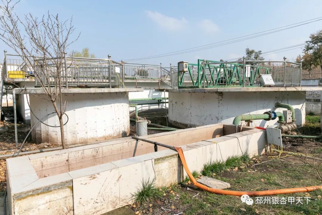 我的家乡发展状况,我的家乡发展有多好