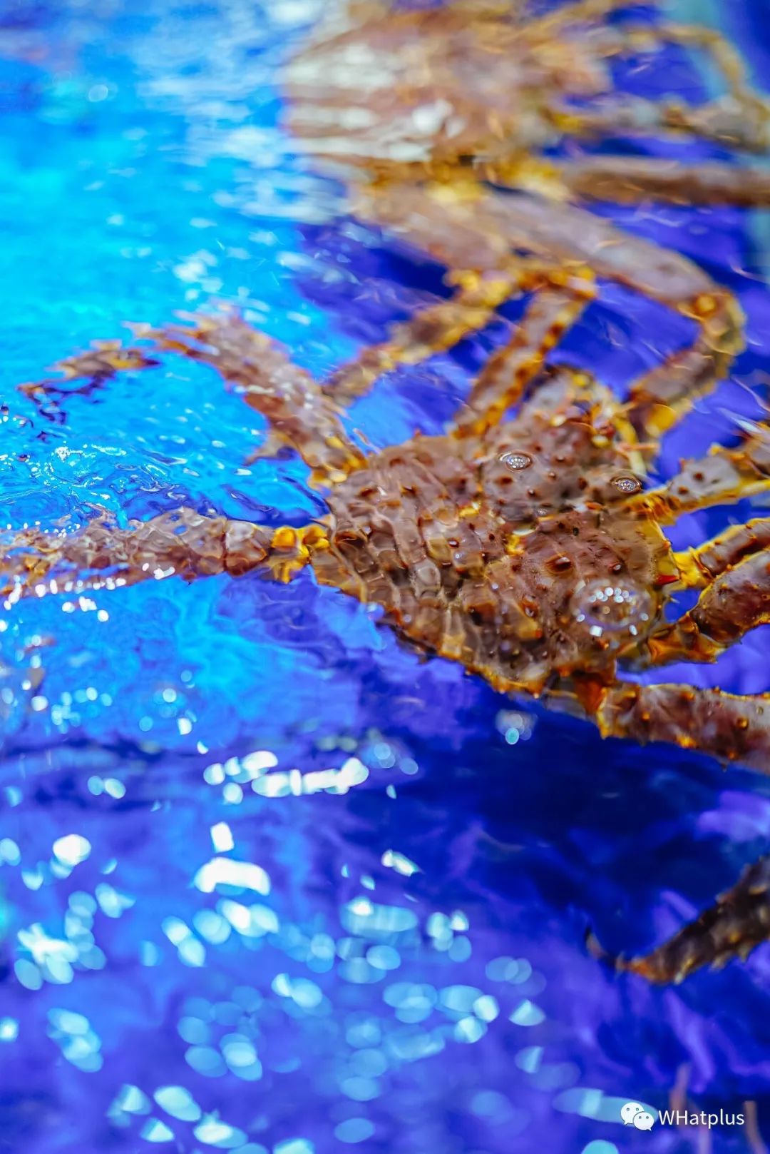 老年人才*淘宝刷**，年轻人都去逛超市了