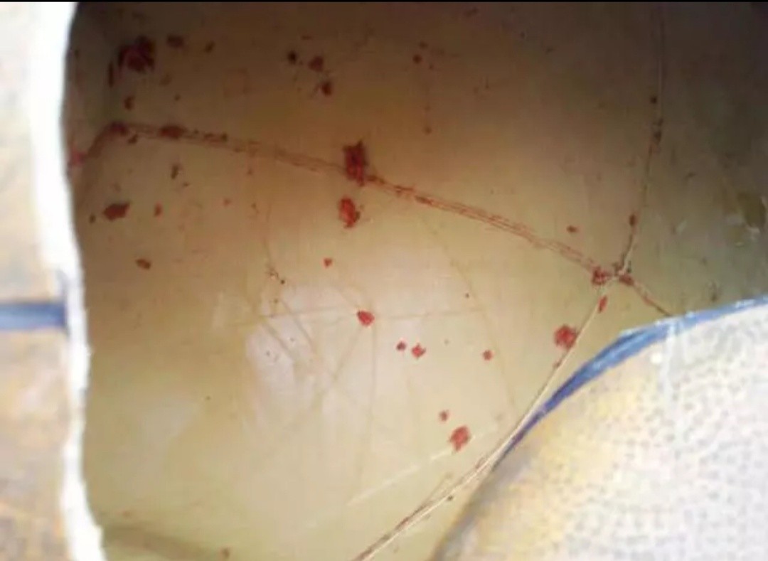 怎么制作钓鱼实用渔具视频,自制钓鱼桶渔具diy