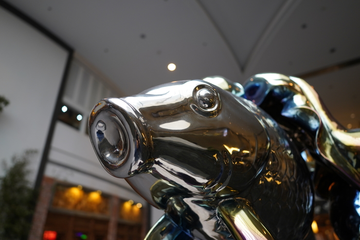 腾龙20mm和腾龙24mm,腾龙24mmf2.8镜头