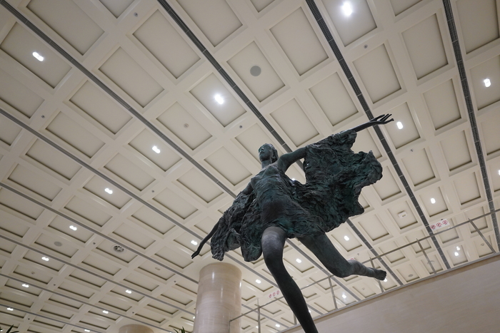 腾龙24mmf2.8定焦镜头视频测试,腾龙最新e卡口镜头