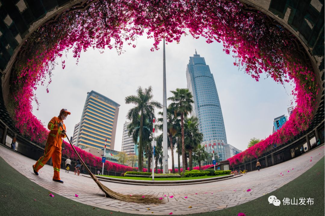 鎴戠埍鎴戝浣涘北,鎴戠殑鑰佸浣涘北