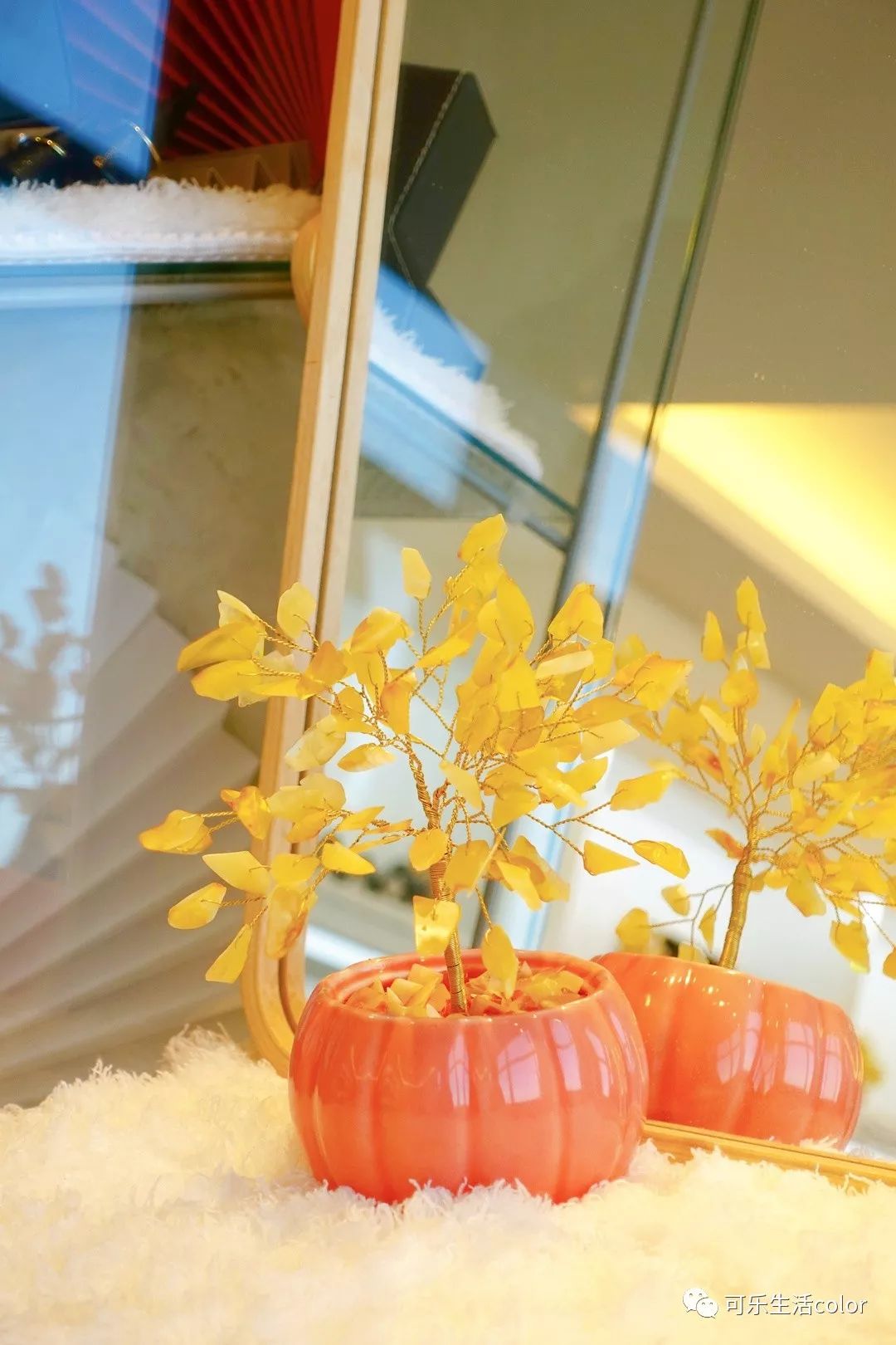 鲜活蚌珍珠探店,珍蚌开蚌珍珠diy体验馆从化