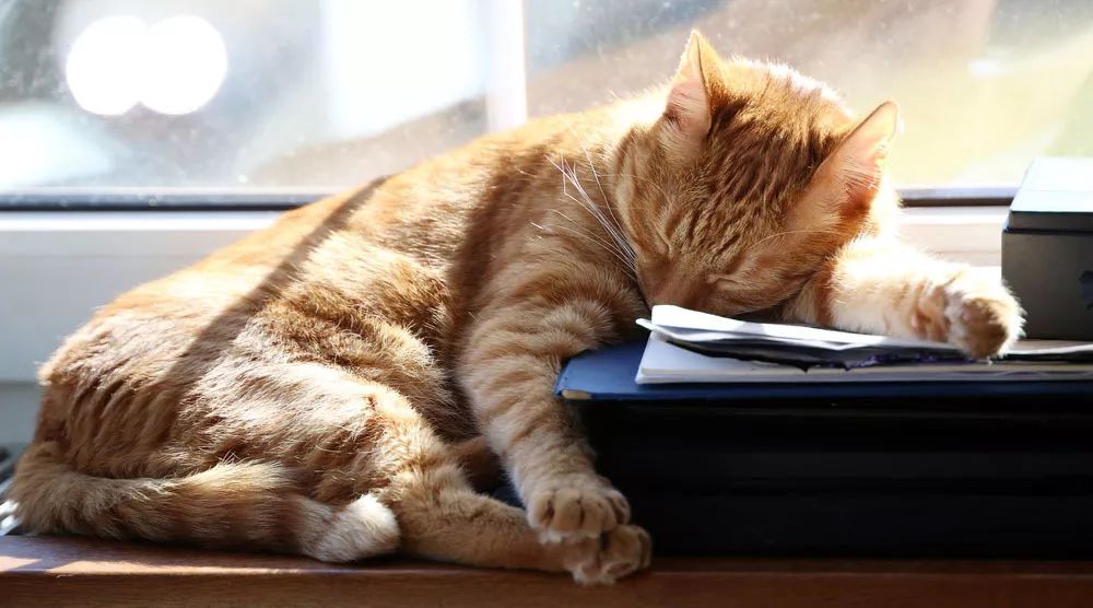 有没有什么方法变白一点,真正有效变白的护肤品