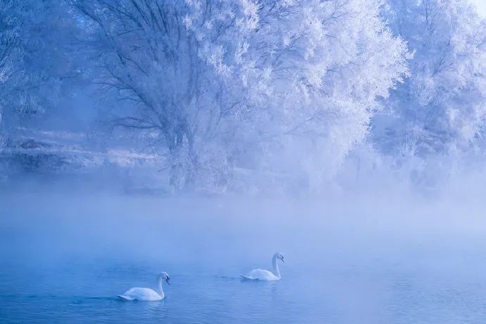 你问我答丨11月地理君小课堂合集