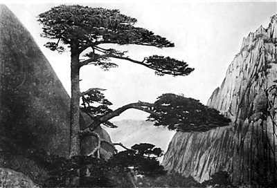 被摄影师抓拍的奇观,被摄影