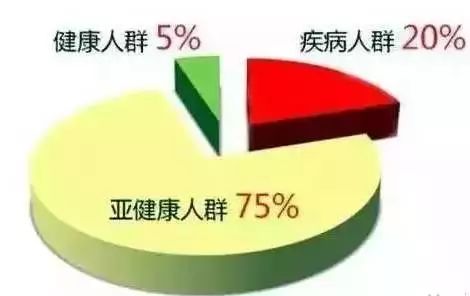 人间富贵花上位史,人间富贵花和霸总