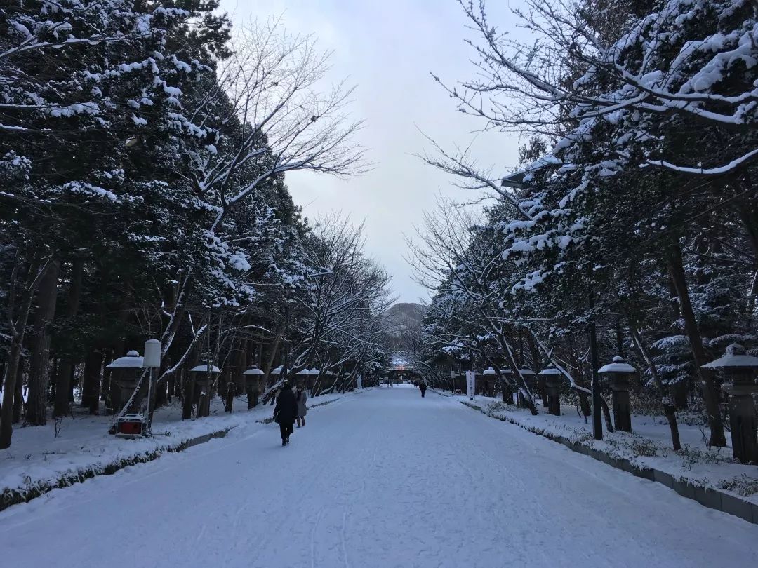 游记雪野湖作文,北海道游记