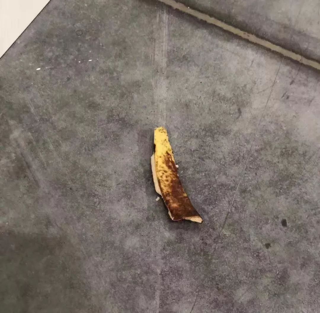 艺术大神卡特兰仅用一根香蕉就废掉了迈阿密巴塞尔200多家画廊!可是突然被另一个艺术家当场吃掉了