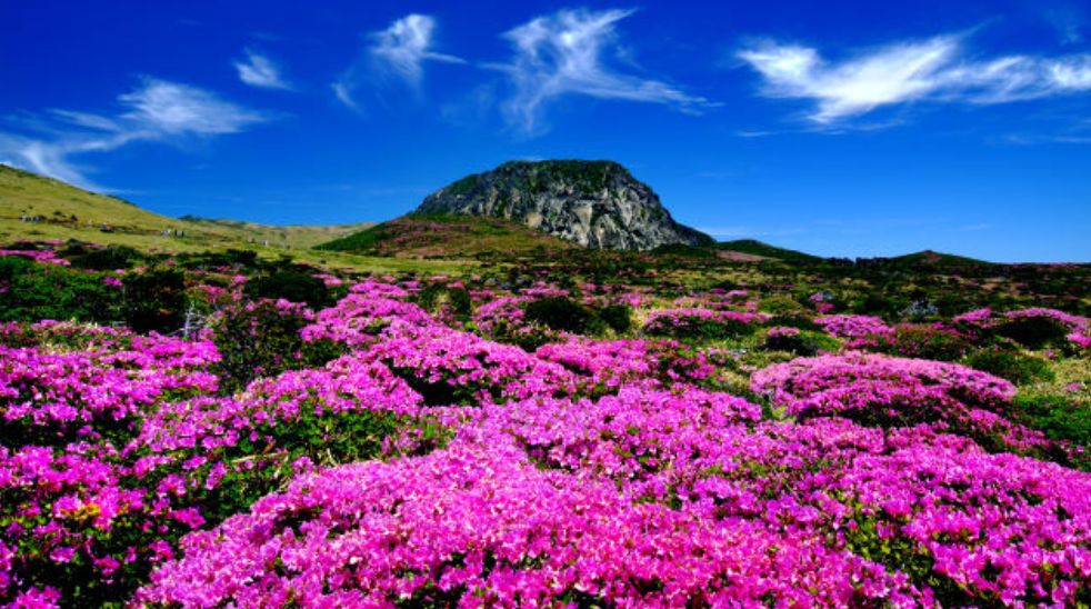 济州岛光影图,济州岛看海底