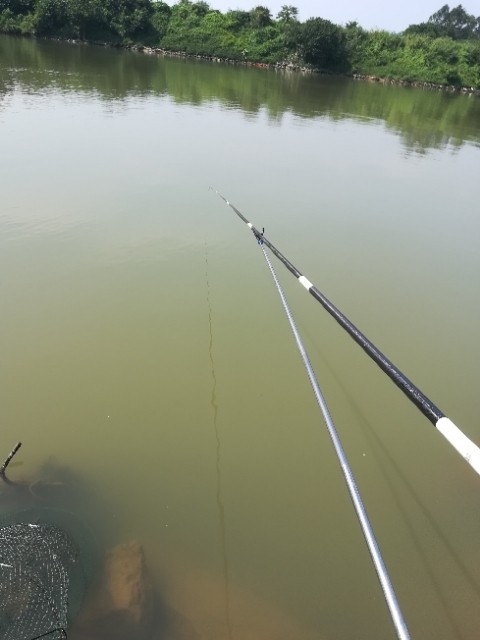 新手钓鱼选漂明白这几点,新手钓鱼从选钓竿开始