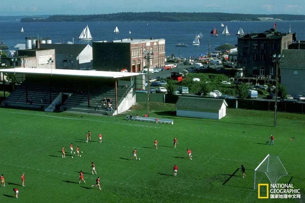 球进了,球进了吗