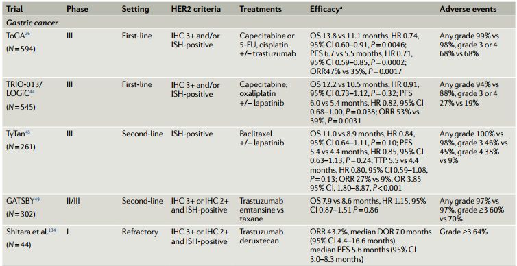 her2靶向治疗新思考,her-2靶向药