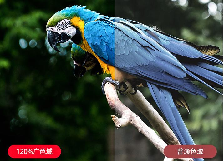 智能家居，*界无**视野！夏普60D6UA4K高清智能电视仅售10999元