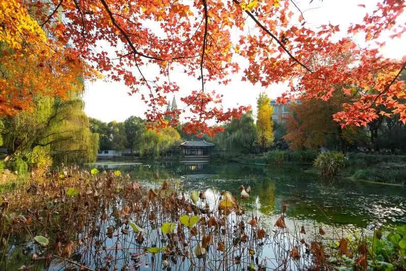 义乌十大网红打卡地,义乌网红打卡小镇