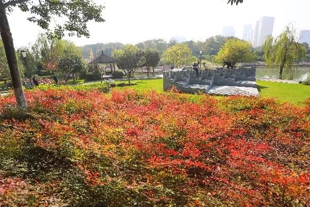 义乌十大网红打卡地,义乌网红打卡小镇