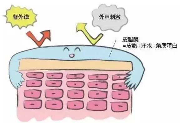 洗脸仪会对皮肤有伤害吗,洗脸仪真的假的