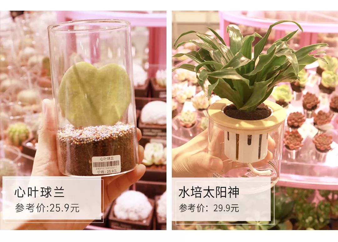 口红代购为什么比专柜便宜,代购的口红为什么比专柜便宜