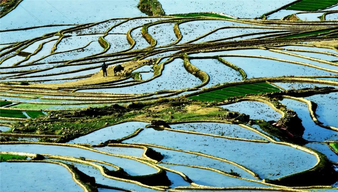 关于一张去丽江的旅游图,100张丽江照片