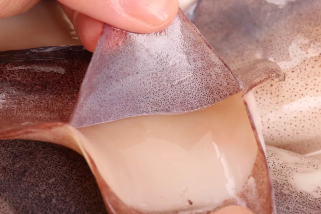 被炒鱿鱼就说明自己不如人吗,被炒鱿鱼是能力差吗