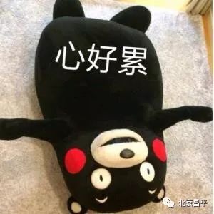 夜市整治、老楼加固……昌平网友的提问官方回复啦！